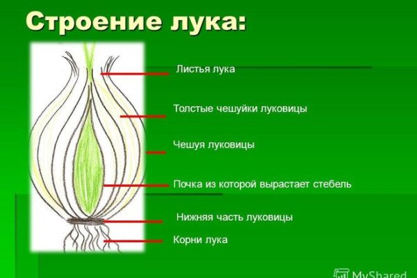 Какой кракен сейчас работает