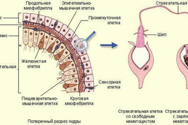 Kraken market ссылка