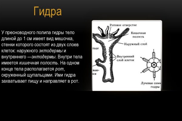 Как зайти на кракен через тор