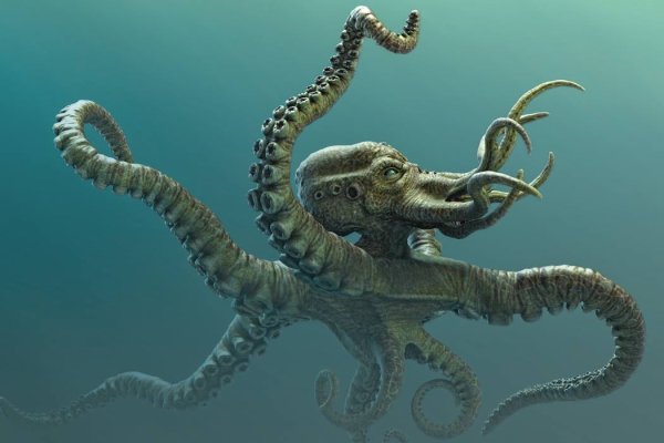 Kraken рынок